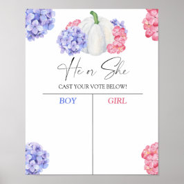 Pojke eller tjej vi pumpar vet att genderna visar  poster