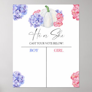 Pojke eller tjej vi pumpar vet att genderna visar poster