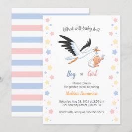 Pojke Girl Stork Gender Reveal Party-inbjudan Inbjudningar