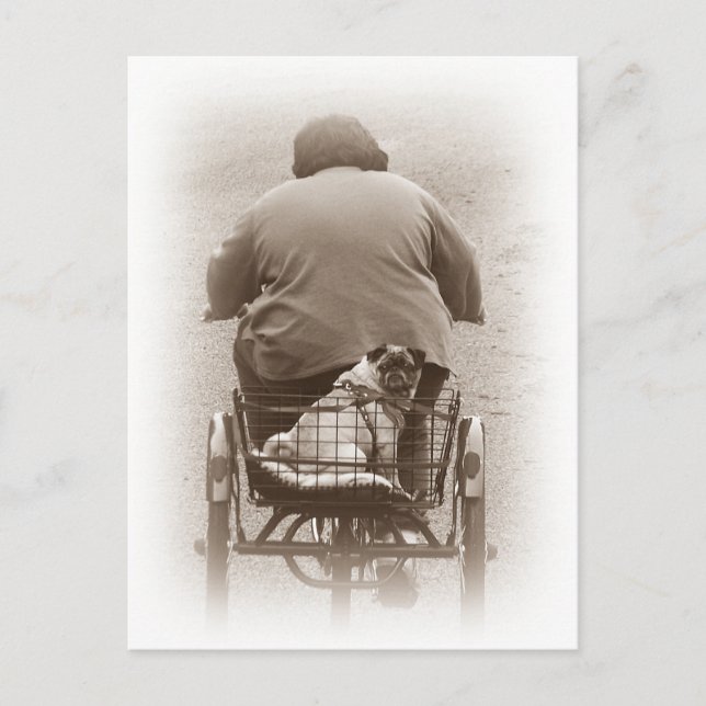 Pojke och Pug Hund för ett kort. Vykort (Framsida)