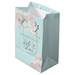 Pojke Shower Gift Bag