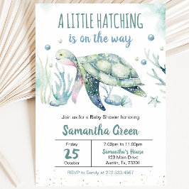 Pojke Sköldpadda Baby Shower Inbjudningar