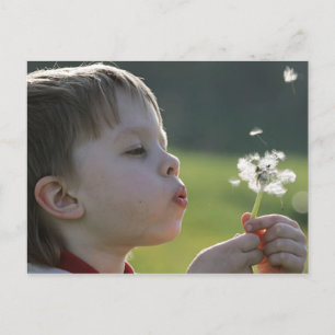 Pojken i dandelion-ängen. vykort