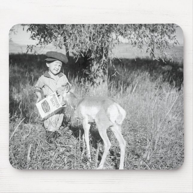 Pojken som matar antilop räcker by musmatta (Framsidan)