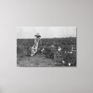 Pojkeplockningbomull fotograferar väster, Texas Canvastryck