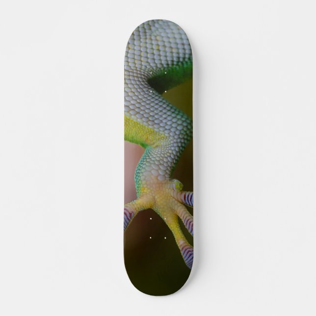 Pojks Gecko Skateboard Bräda 21,5 Cm (Framsida)