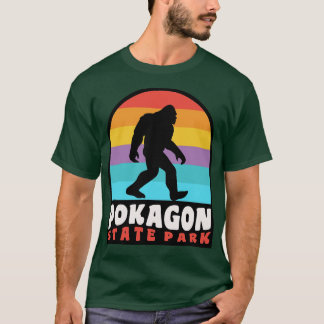 Pokagon State Park Indiana Retro Sunset T Shirt
