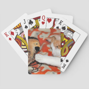 Poke Casinokort