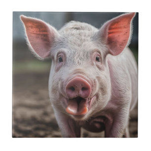 Poke lycklig White Gris Tunga Kakelplatta