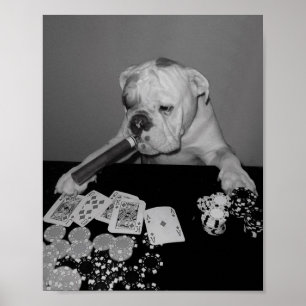 pokeransikte poster