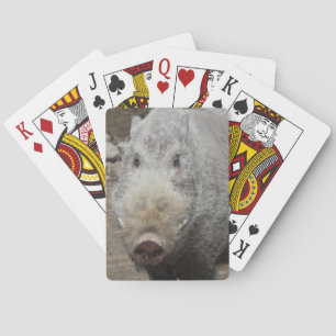 Pokeransikte som leker kort spelkort