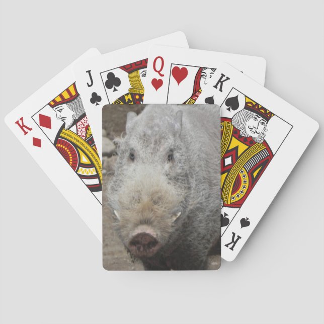 Pokeransikte som leker kort spelkort (Baksidan)