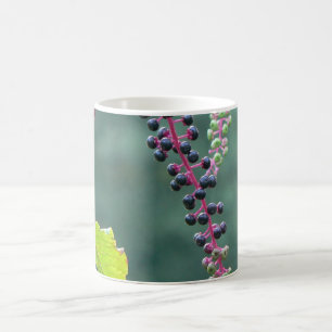 Pokeweed med Ripening bär Kaffemugg