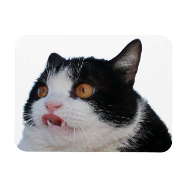 Pokey Magnet (Horisontell)