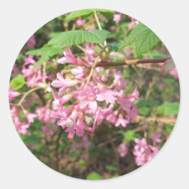 Pokeys Rosa i parken Runt Klistermärke