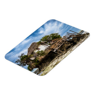 Pokresque på en tropisk korallåda magnet