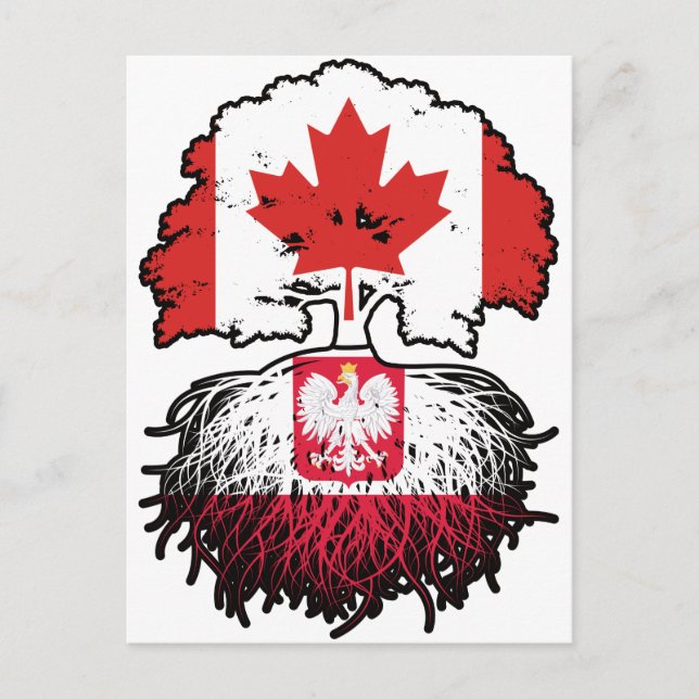 Poland Polish Canadian Canada Tree Roots Flag Vykort (Framsida)