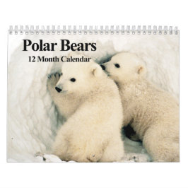 Polar - 12 månaders kalender