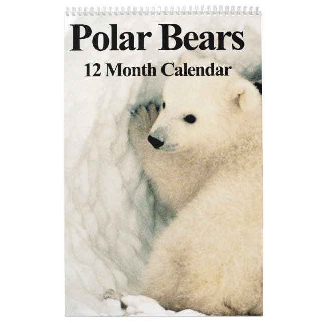 Polar - 12 månaders kalender (Omslag)