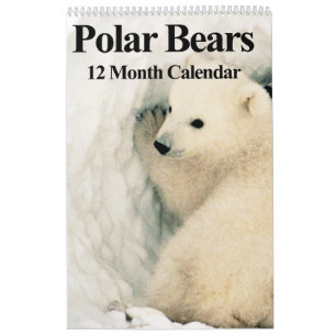 Polar - 12 månaders kalender