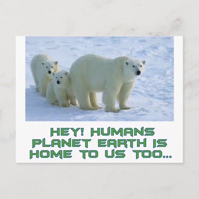 polar av coola med utformning vykort (Framsida)
