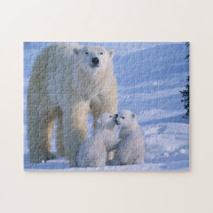 Polar av honkön Står med 2 Unge vid henne Pussel