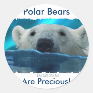 POLAR BAR RUNT KLISTERMÄRKE