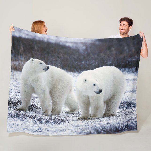 POLAR BÄRAR FLEECEFILT (På plats)