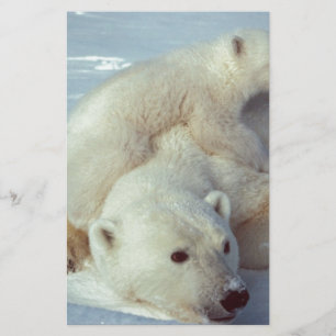 Polar Bear