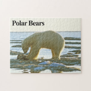 Polar Bear 10 Jigszawa Puzzle Pussel