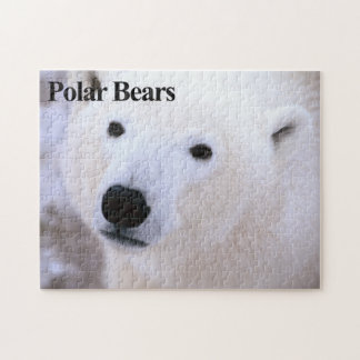 Polar Bear 11 Jigszawa Puzzle Pussel