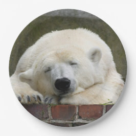 Polar_Bear_2015_0301