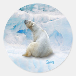 Polar Bear 2 - Kuvertfästdon Runt Klistermärke