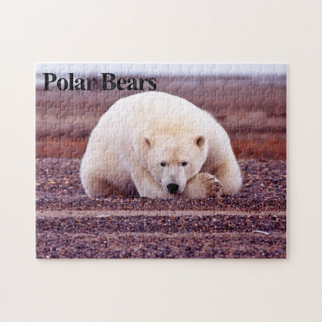 Polar Bear 7 Jigszawa Puzzle Pussel (Horisontell)