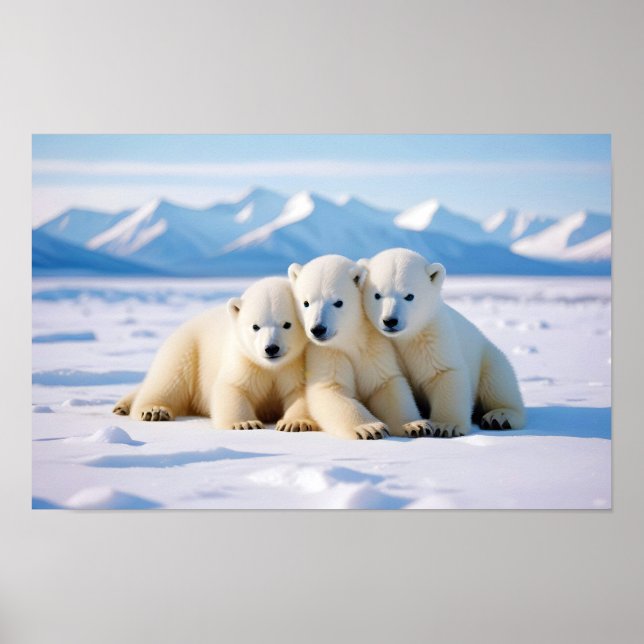 Polar Bear Animal Nature Wildlife Affection Caring Poster (Framsidan)