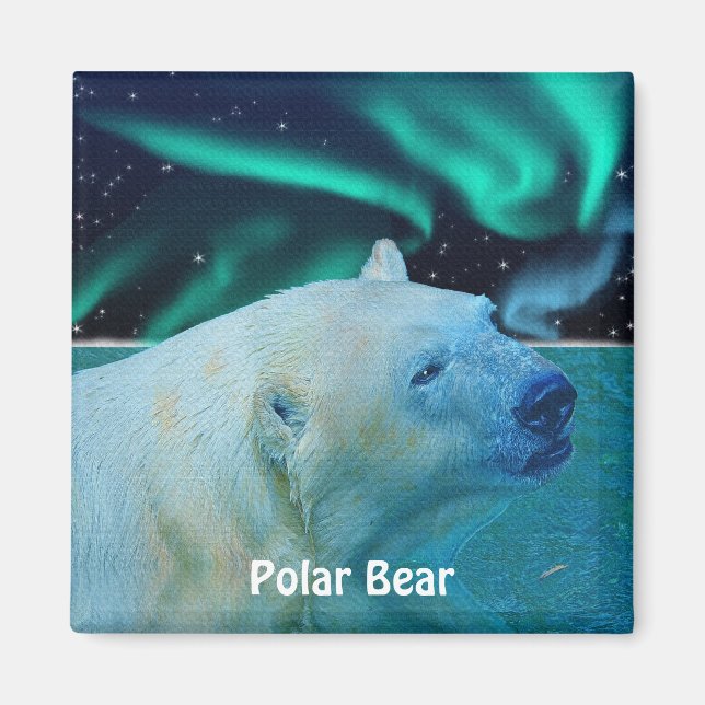 Polar Bear & Aurora Arktis Wildlife Art Magnet (Framsidan)
