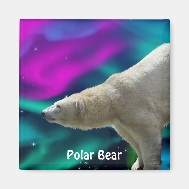 Polar Bear & Aurora Arktis Wildlife Art Magnet (Framsidan)