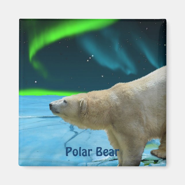 Polar Bear & Aurora Arktis Wildlife Art Magnet (Framsidan)