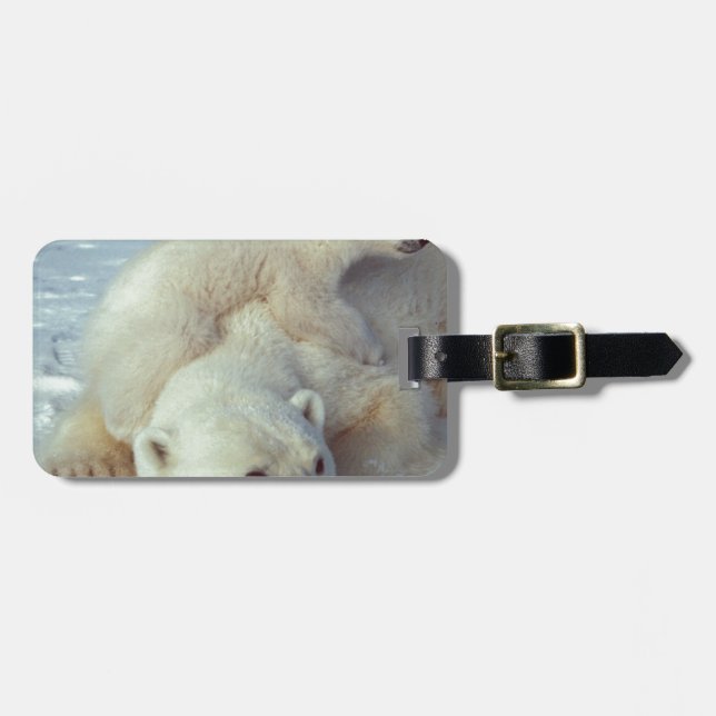 Polar Bear Bagagebricka (Horisontell Framsida)