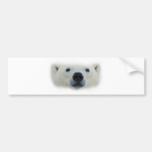 Polar Bear Bildekal