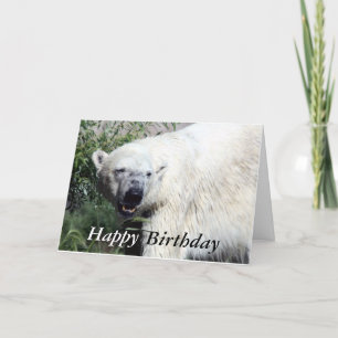 Polar Bear Birthday Card Kort