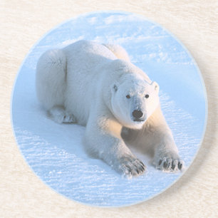 Polar Bear Blue Underlägg