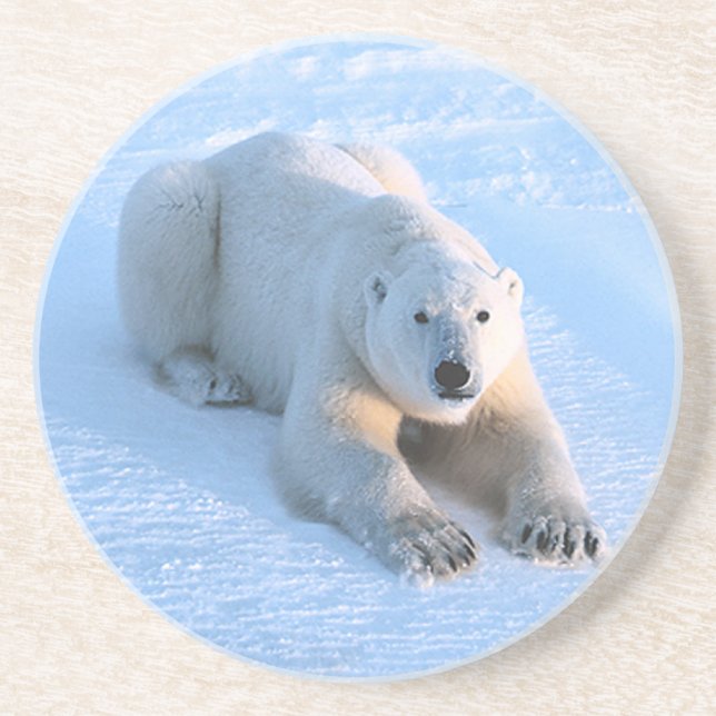 Polar Bear Blue Underlägg (Framsidan)