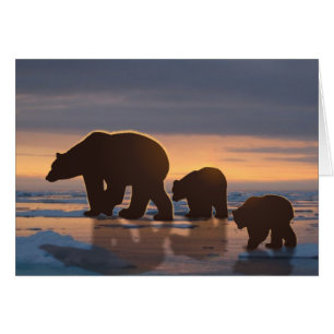 Polar Bear-familjen Hälsningskort