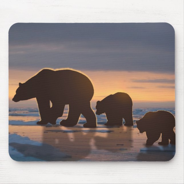 Polar Bear-familjen Musmatta (Framsidan)