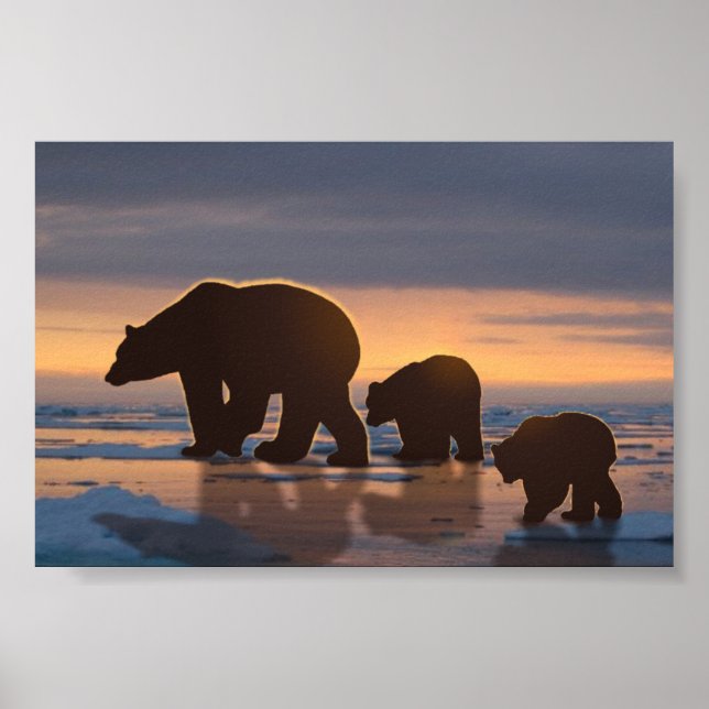 Polar Bear-familjen Poster (Framsidan)