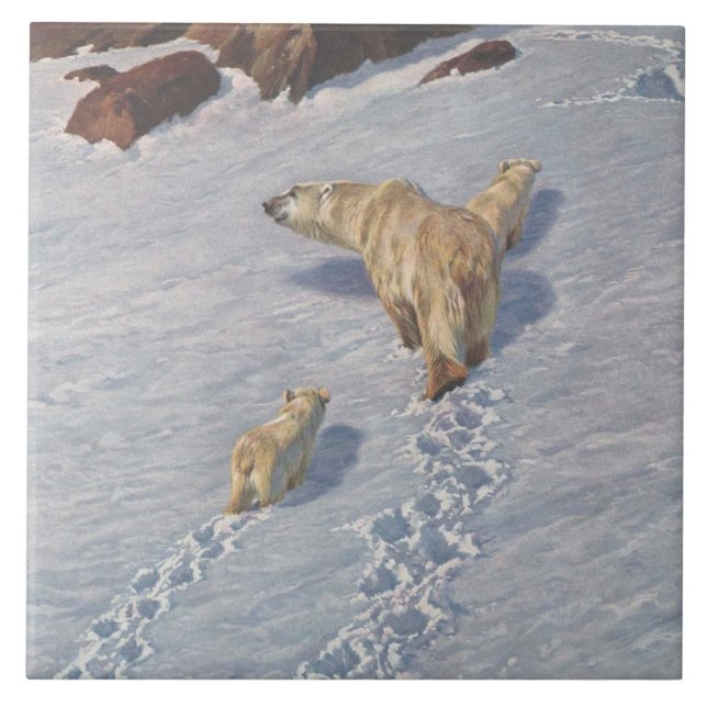 Polar Bear Family i Arktiska Snö Kakelplatta (Framsidan)