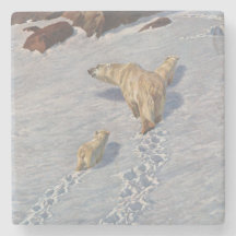 Polar Bear Family i Arktiska Snö