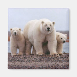 Polar Bear Family Magnet
