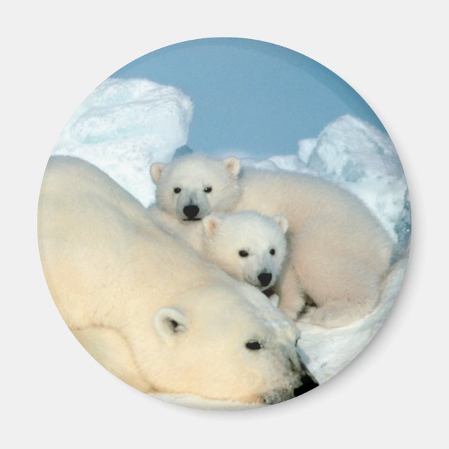 Polar Bear Family Magnet (Framsidan)